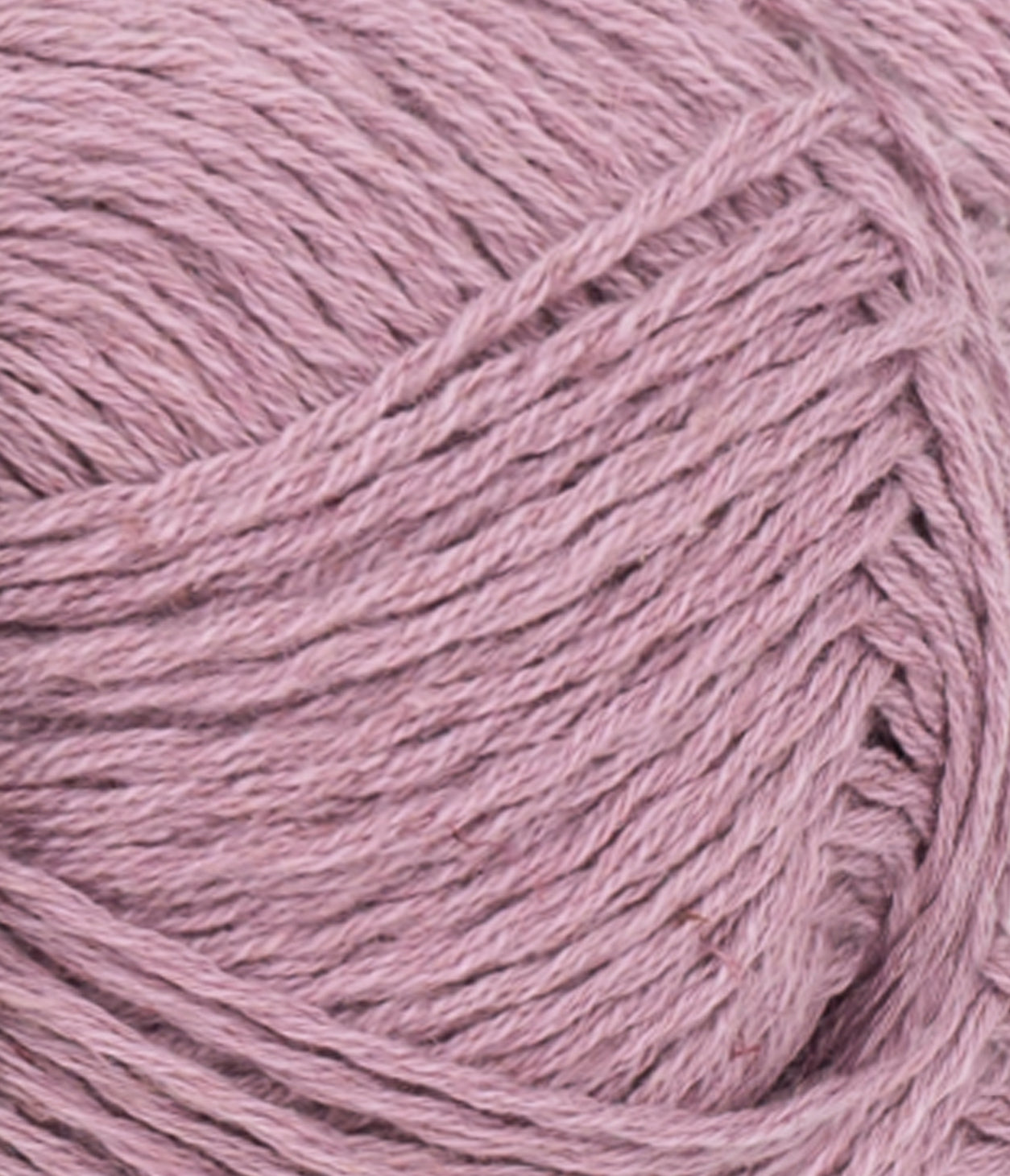 Line - 4632 Rosa levendel