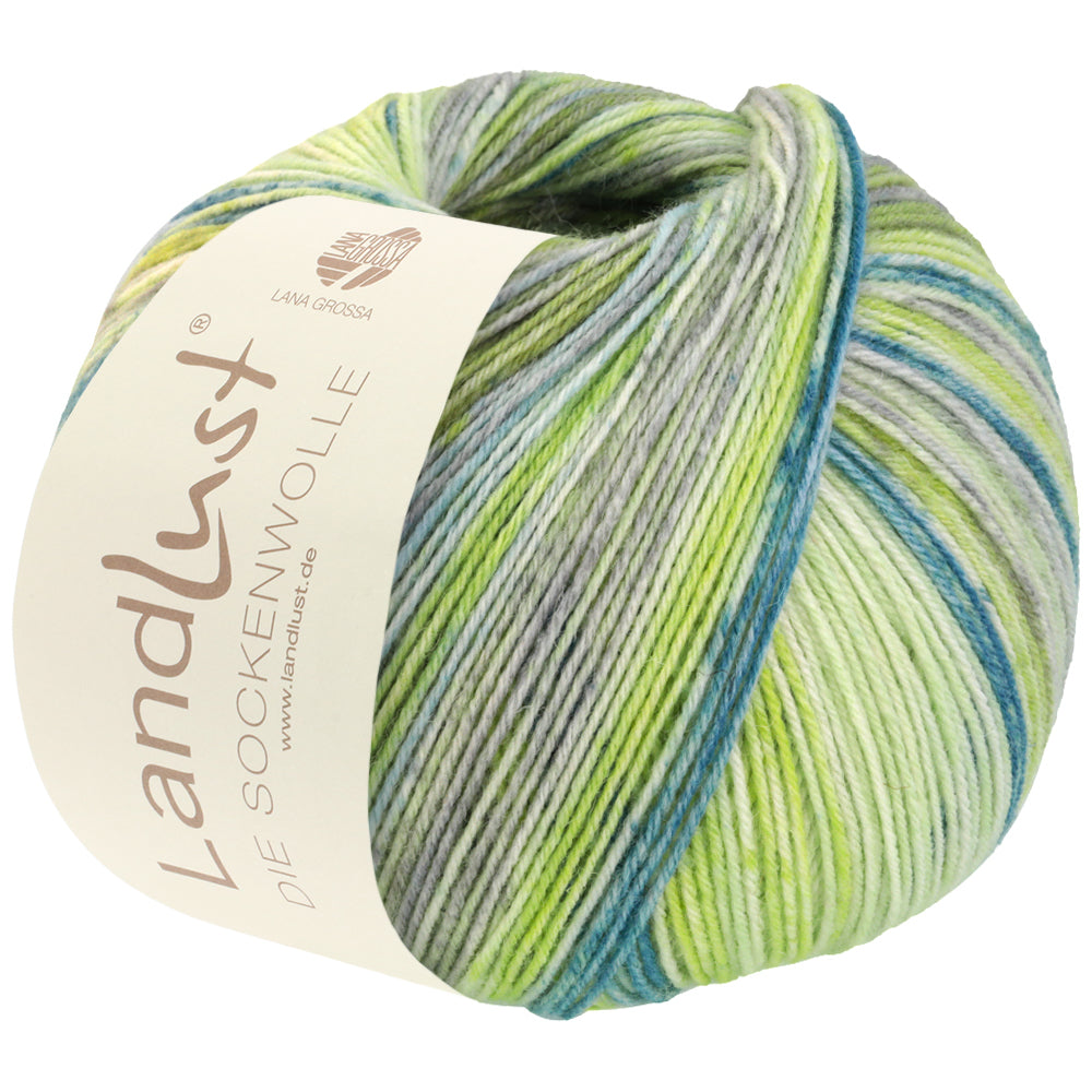 Landlust Sockenwolle 100g - 413