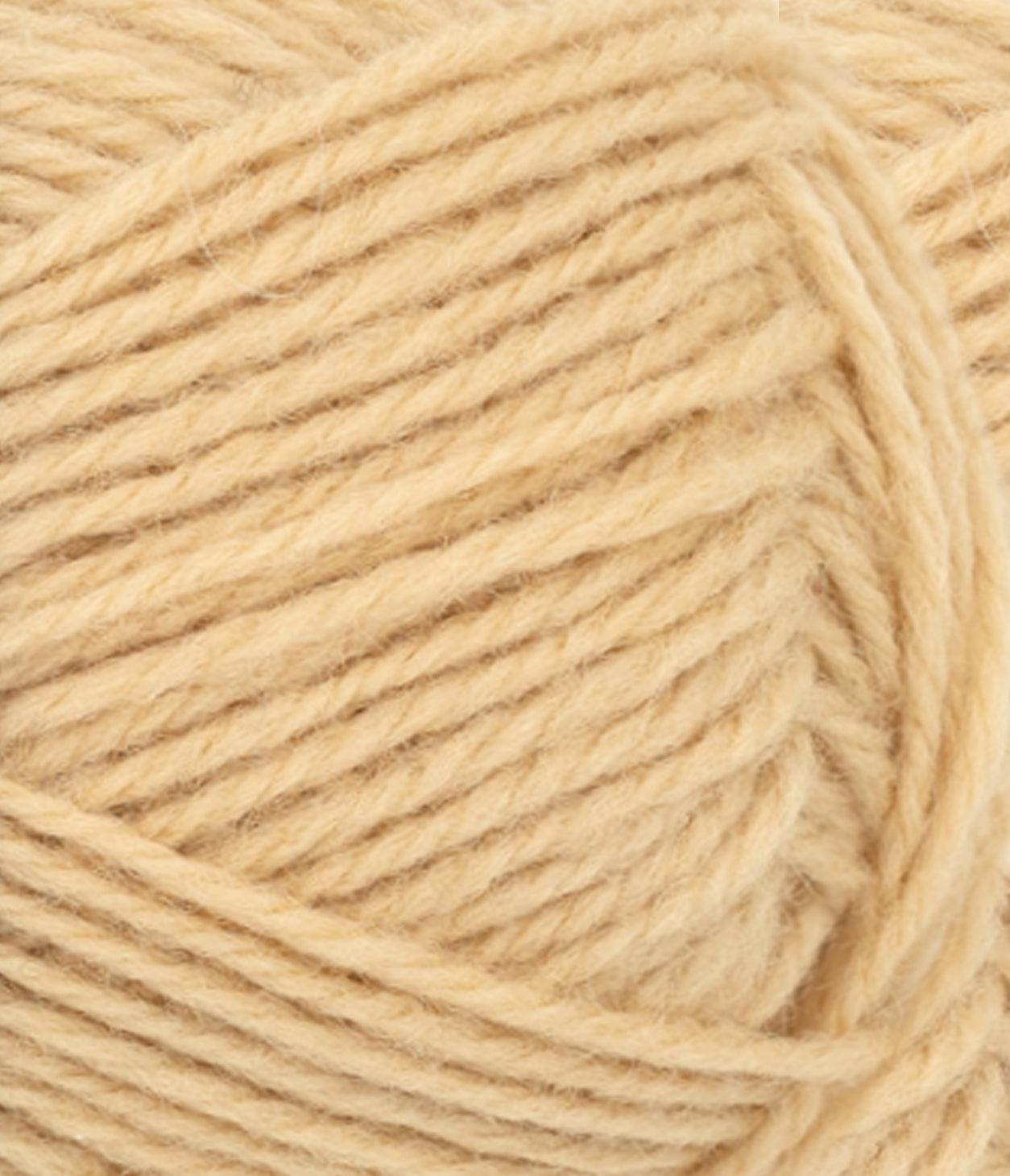 Atlas PetiteKnit - 2322 Harvest Moon