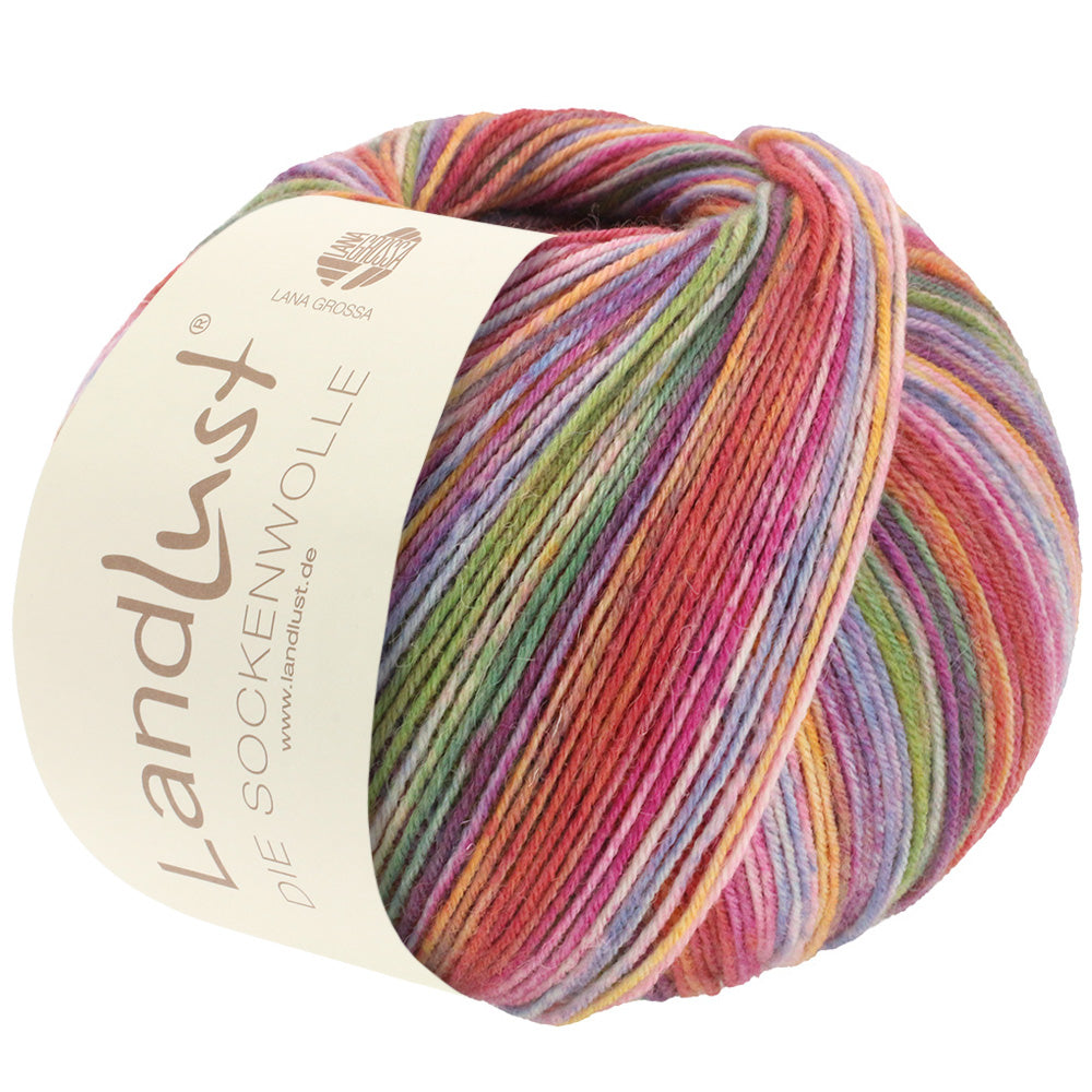 Landlust Sockenwolle 100g - 803