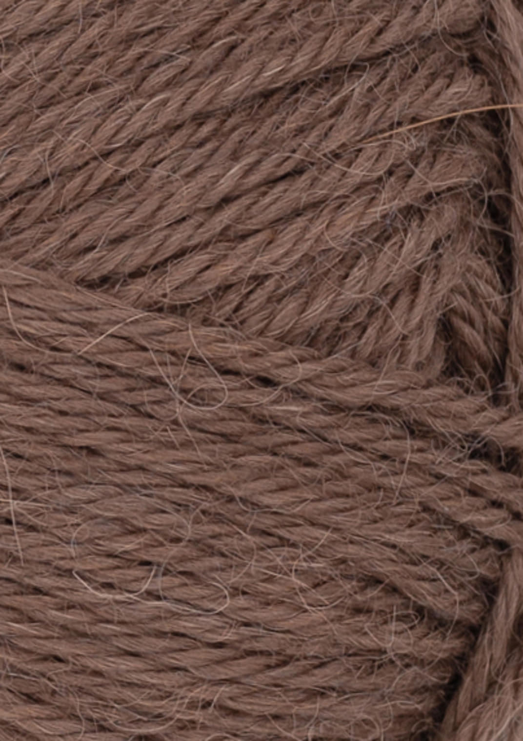 Alpakka - 3161 Ekollon - Butik Maglia