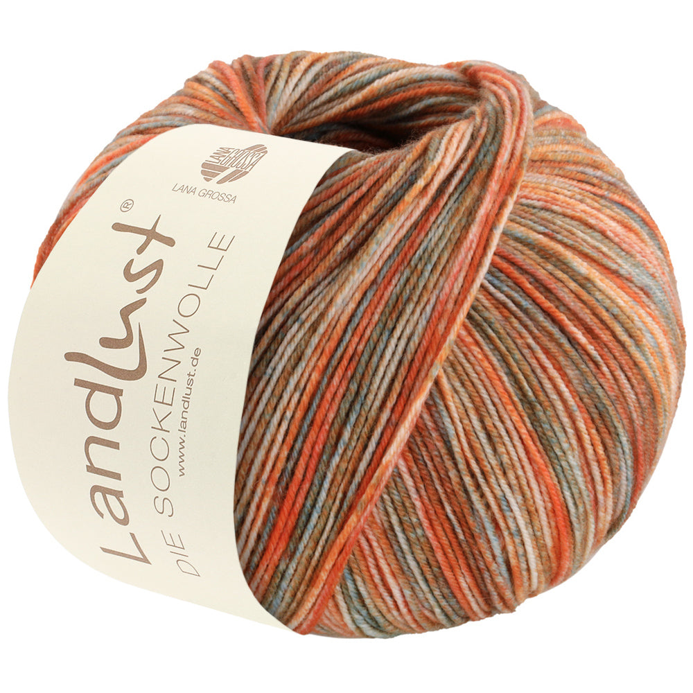 Landlust Sockenwolle 100g - 811
