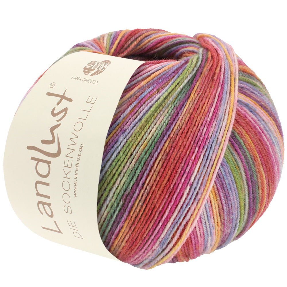 Landlust Sockenwolle 100g - 803 - Butik Maglia