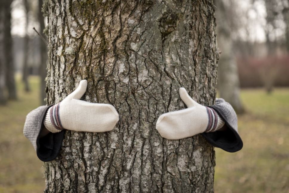 Vanten Vårljus - Butik Maglia