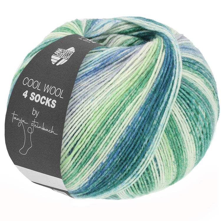 Cool Wool 4 Socks Print