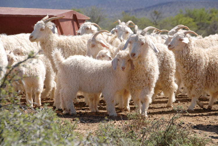 Mohair
