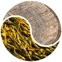 Viskos - Butik Maglia