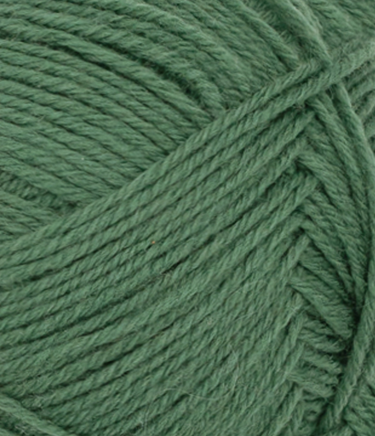 Dimanche - 8073 Elm Green