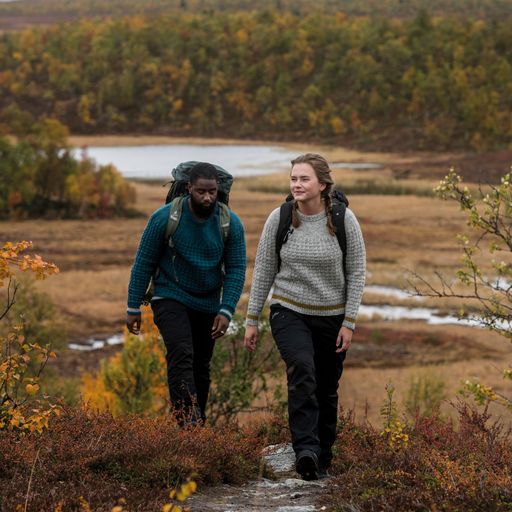 Fjäll - Järbo Mönsterhäfte 20