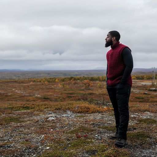 Fjäll - Järbo Mönsterhäfte 20