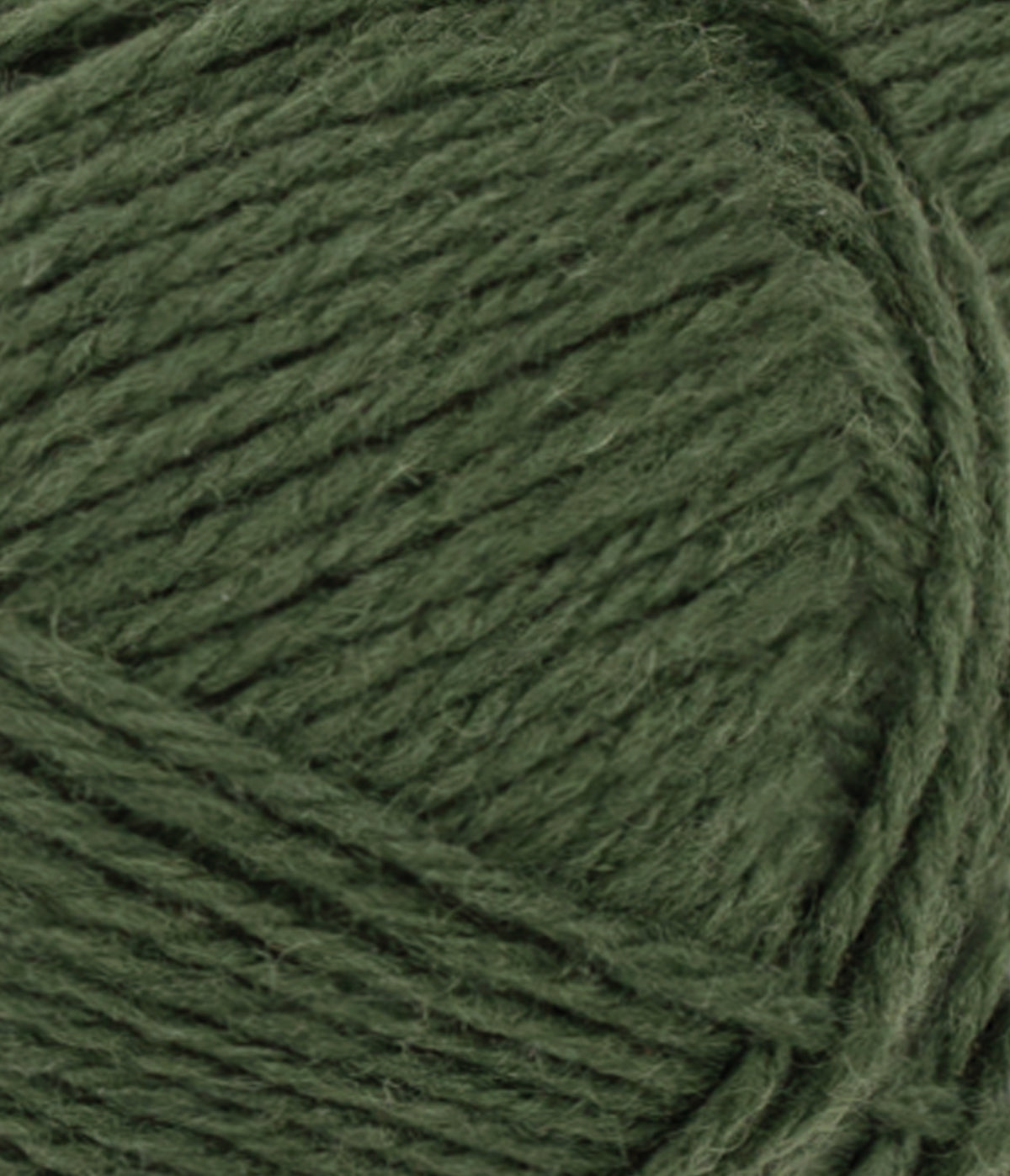 Atlas - 8571 Dark Forest Green