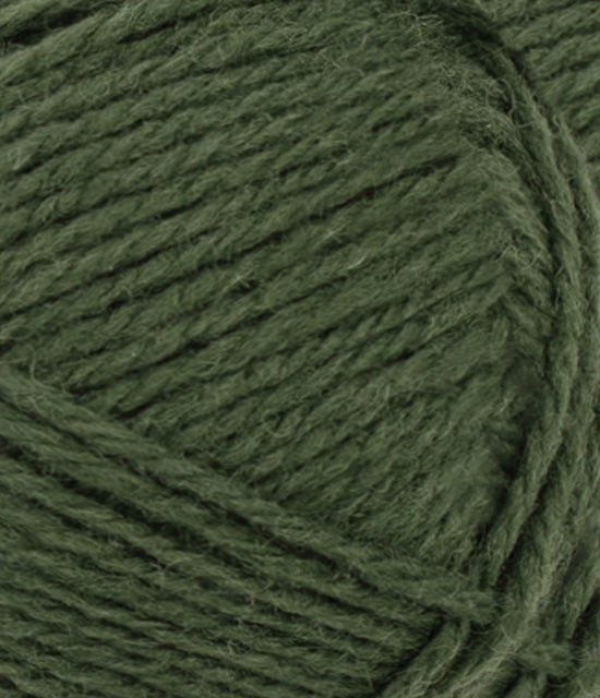 Atlas - 8571 Dark Forest Green