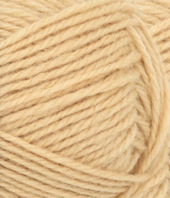 Atlas PetiteKnit - 2322 Harvest Moon