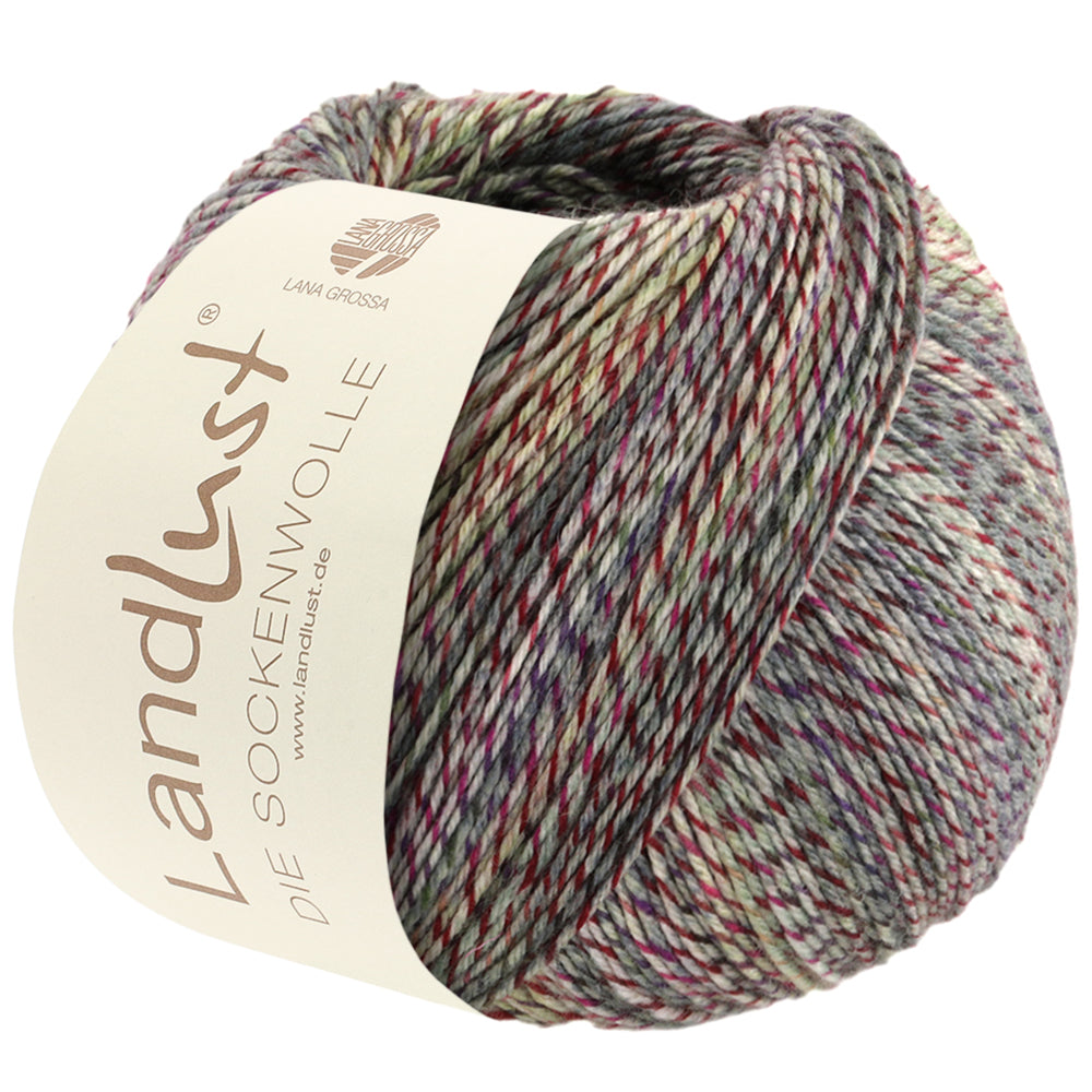 Landlust Sockenwolle 100g - 214