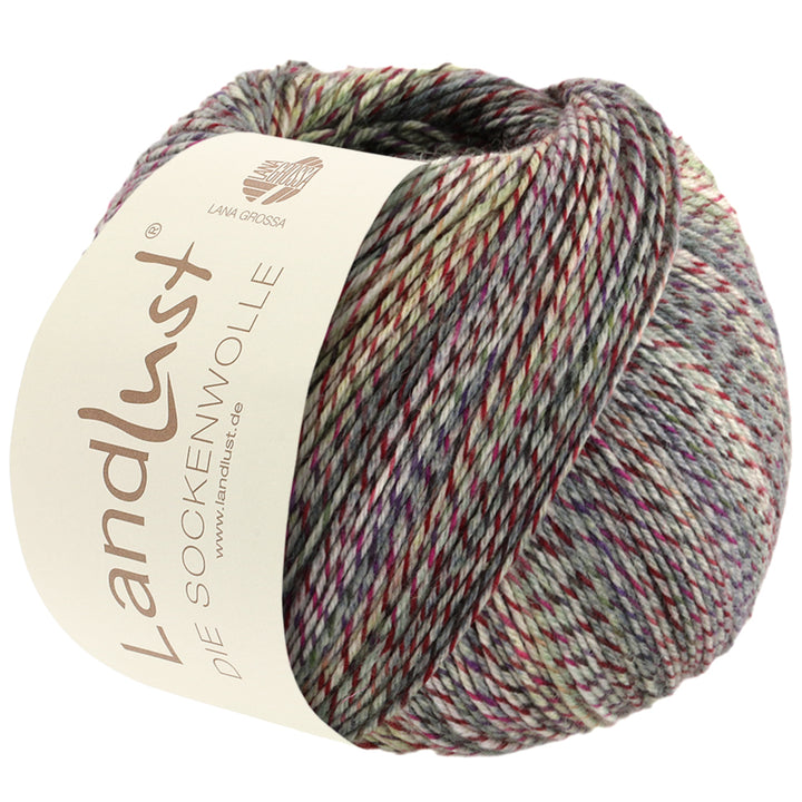 Landlust Sockenwolle 100g - 214