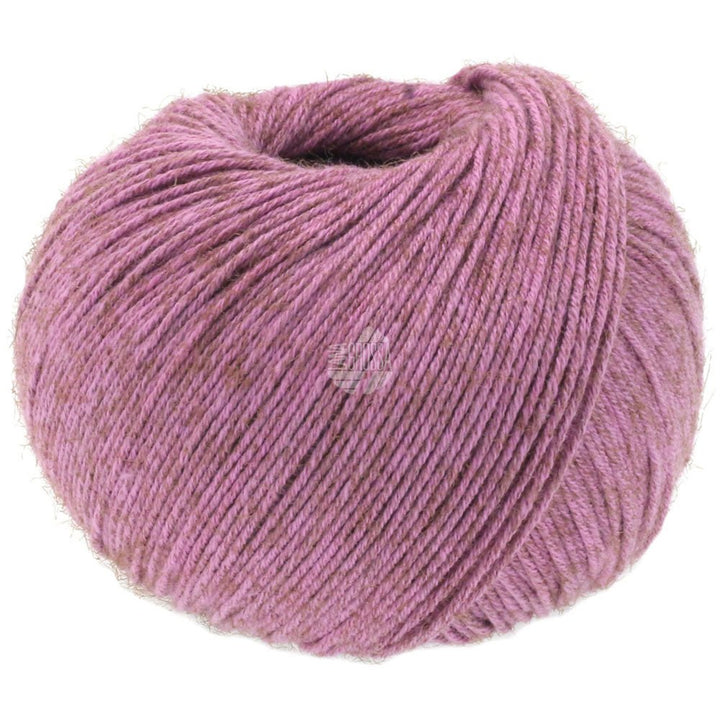 Diversa - 03 Bär - Butik Maglia