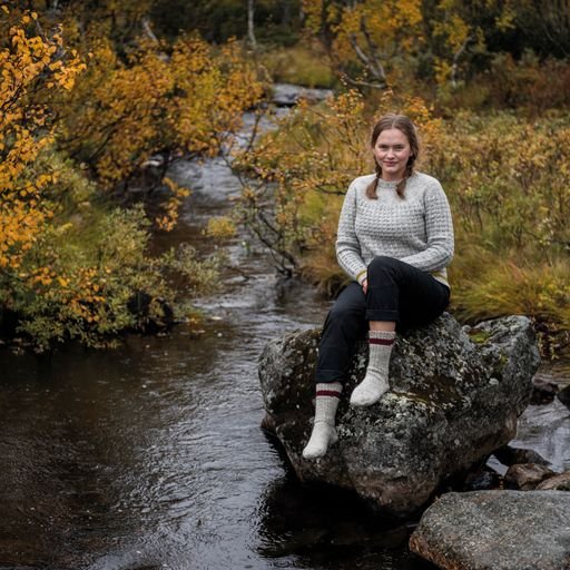 Fjäll - Järbo Mönsterhäfte 20 - Butik Maglia