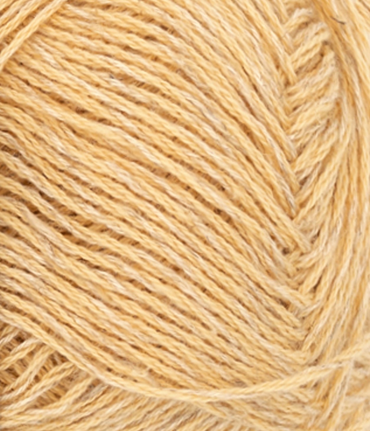 Tunn Line - 2113 Ljus gul - Butik Maglia