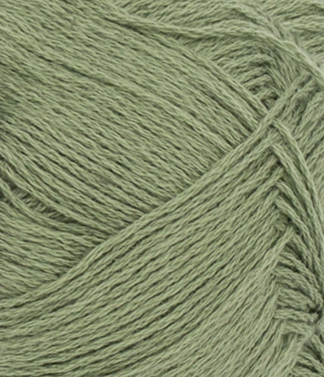 Tunn Line - 9062 Olivgrön - Butik Maglia